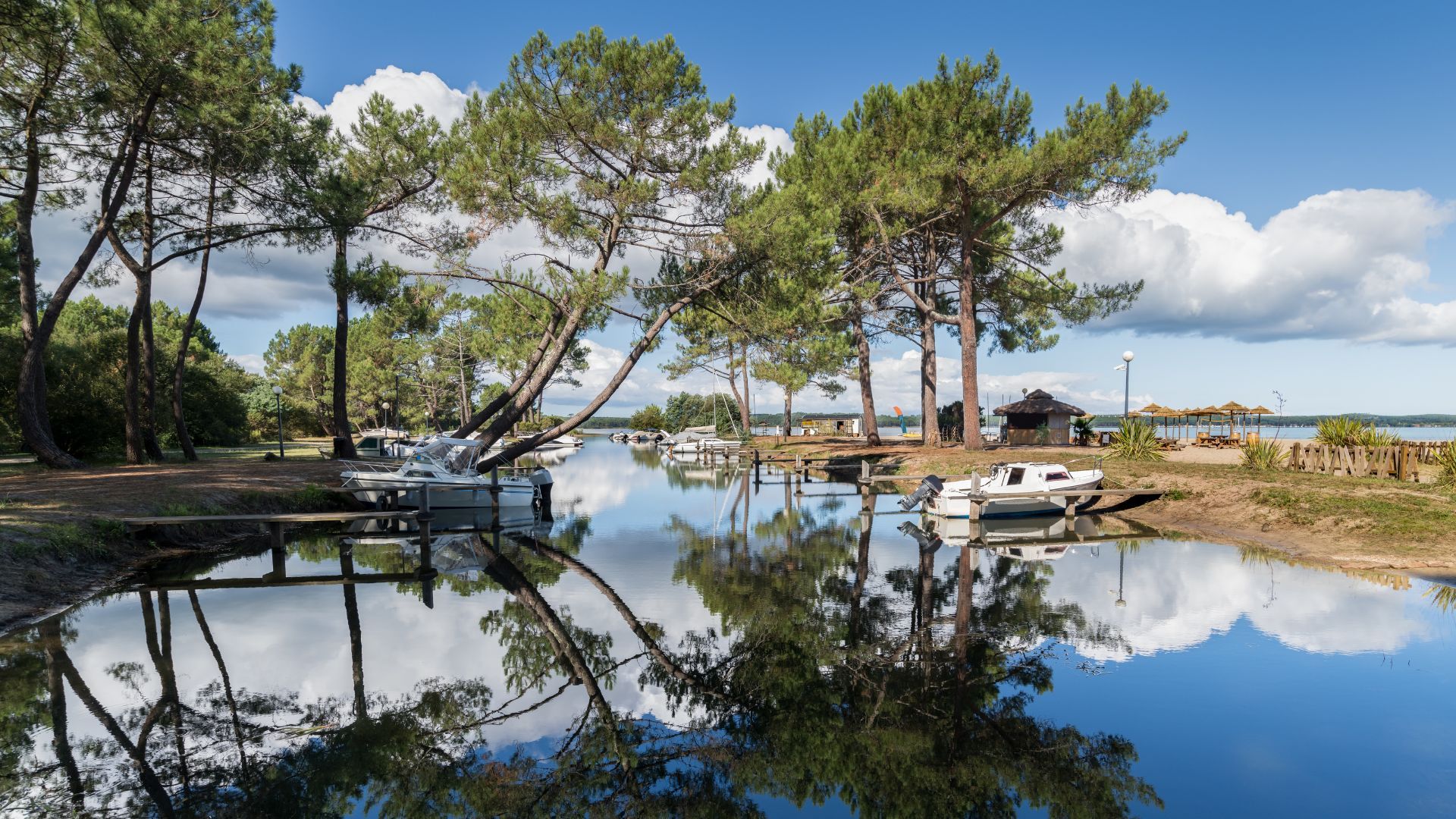 Arbres se reflétant dans un étang calme, ciel bleu avec nuages blancs.