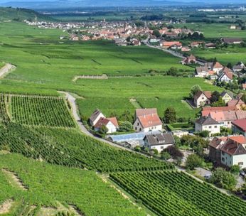 wintzenheim