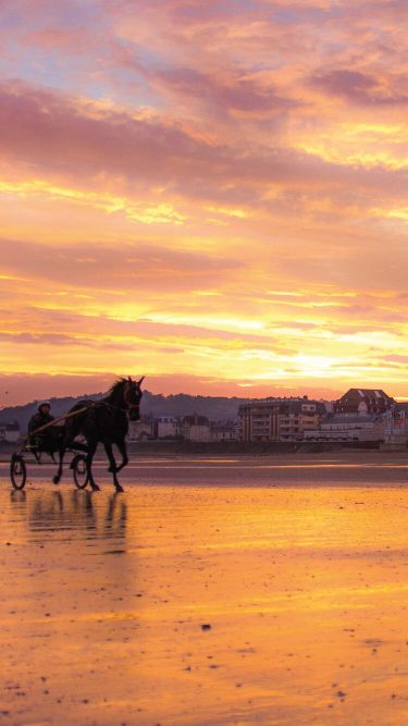 immobilier neuf dives sur mer mobile
