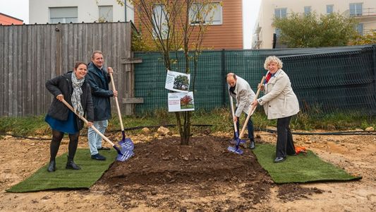 le premier arbre de la résidence “Les Promenades de Gaïa” à Colombelles