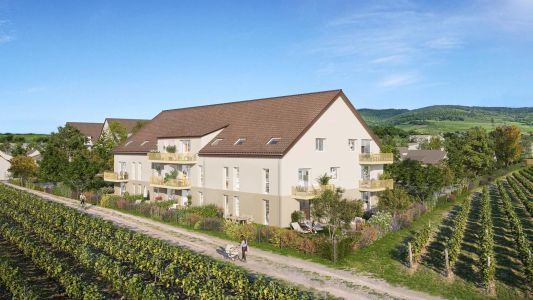 Maison rurale beige entourée de vignobles sous ciel bleu dégagé.