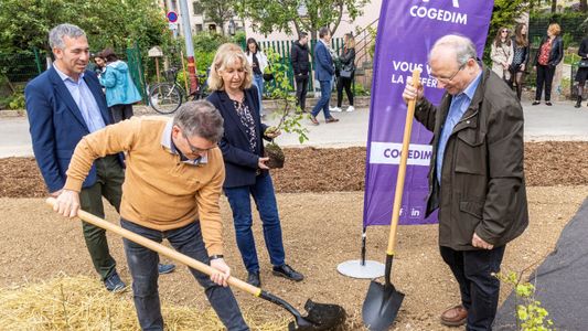 Cogedim Est et la ville de Schiltigheim s'engagent pour l'environnement avec la plantation d'une forêt Miyawaki de 1000 arbres dans l’éco-quartier Fischer