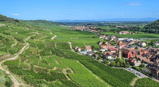 wintzenheim