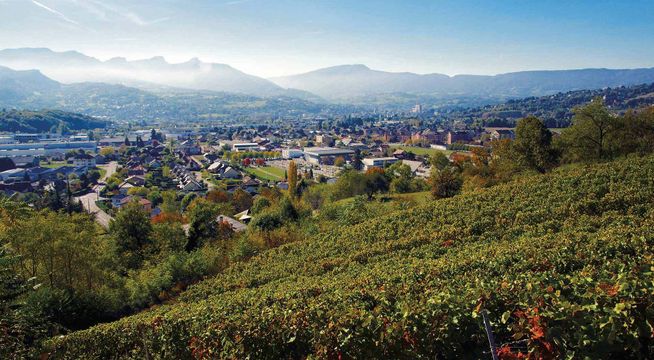 Paysage montagneux avec vue panoramique sur une vallée urbaine aux toits rouges, entourée de montagnes boisées.
