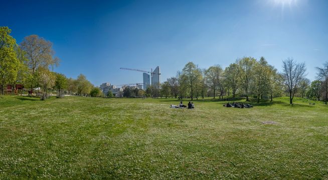 Parc verdoyant avec pelouse dégagée, arbres feuillus et skyline urbaine sous ciel bleu dégagé.