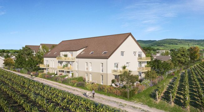 Maison viticole en pierre avec vignobles environnants sous un ciel bleu dégagé.