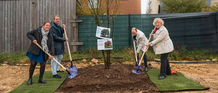 le premier arbre de la résidence “Les Promenades de Gaïa” à Colombelles