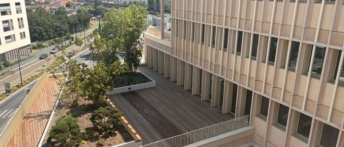 Vue aérienne d'une cour intérieure urbaine avec arbres et bâtiments modernes en pierre beige.