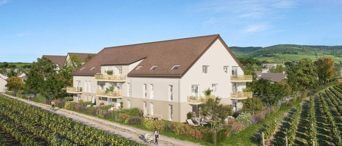Maison rurale beige entourée de vignobles sous ciel bleu dégagé.